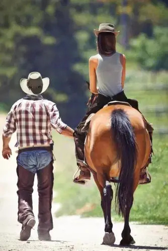 Cape Winelands Riding