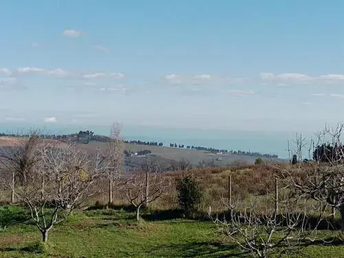 Belle Marche