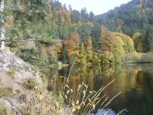 Chalet pour amoureux de la nature avec vue sur le lac de Retournemer