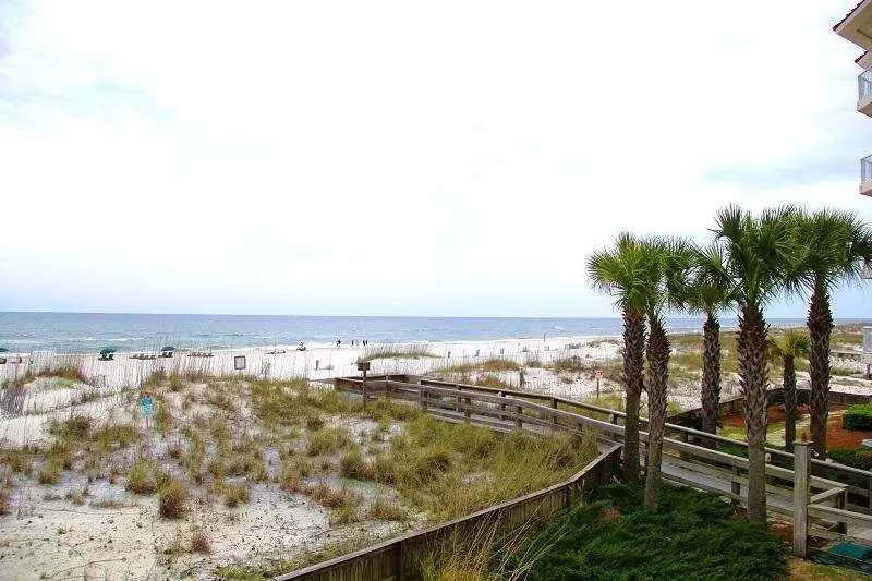 Palm Beach #C21