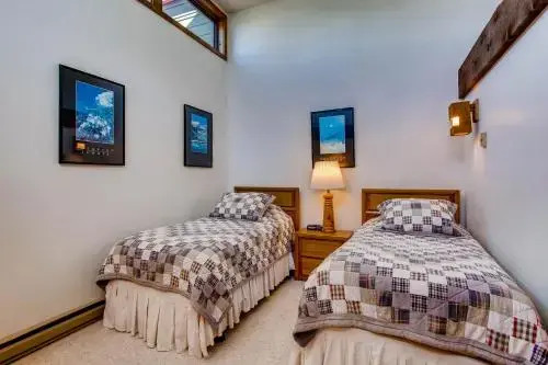 Ski-in/ski-out Condos In Crested Butte