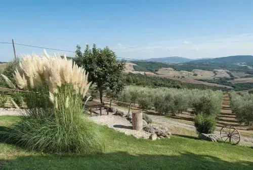 Il Pino