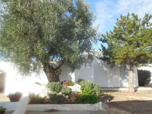 Masseria Pezze Galere