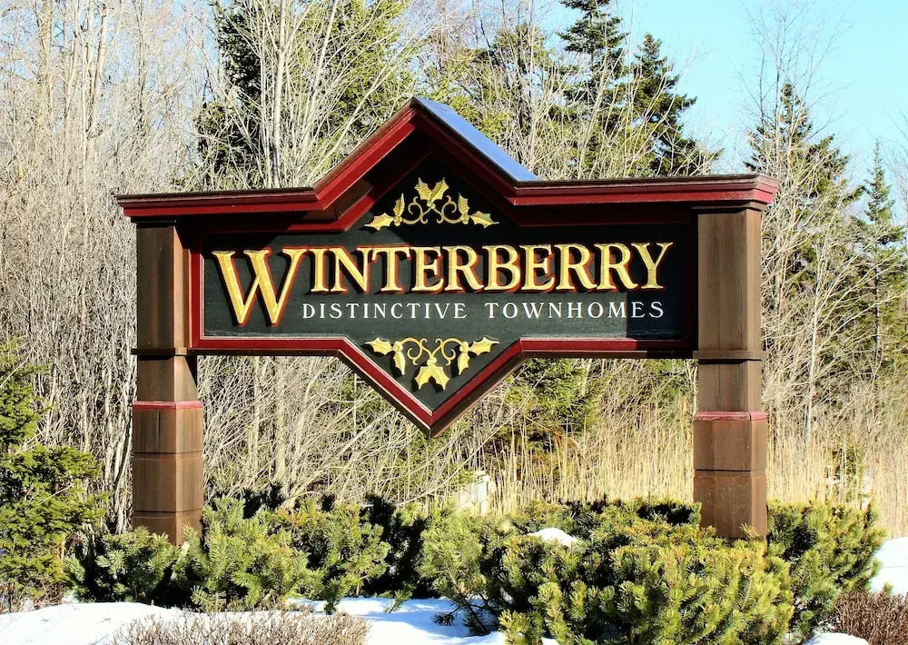 Winterberry Townhouse #4 by RedAwning