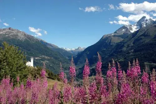 Résidence Le Tyrol