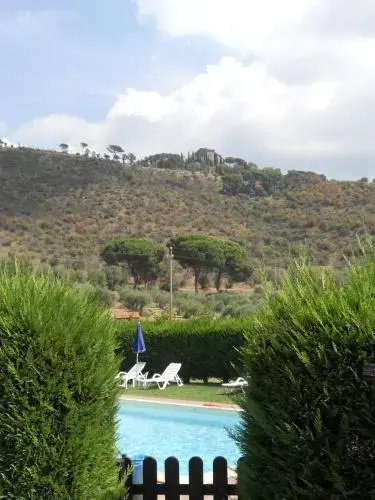 Oliveto di Teodora