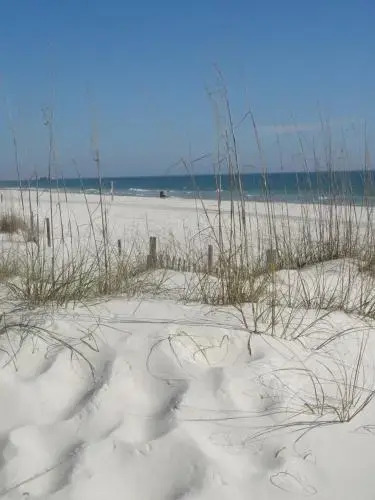 Ocean Dunes Villas #WOD418