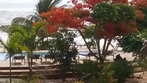 The Coco Paradise