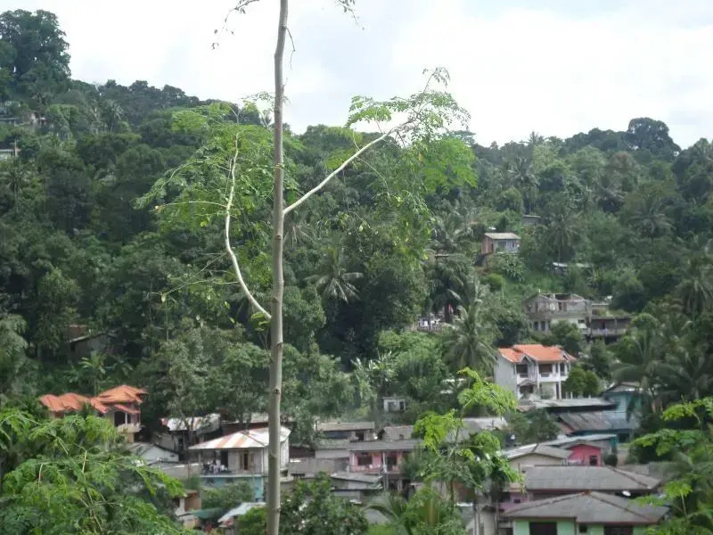 59 Holiday Home