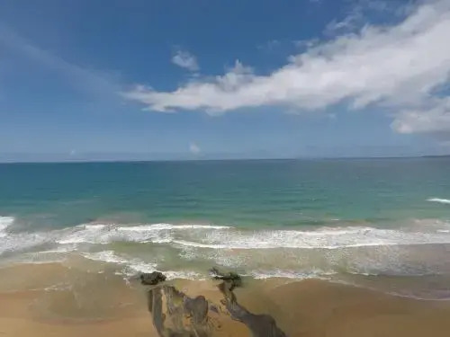 Oceanfront Turtles Nest