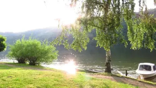 Juniorcamp Nová Živohošť