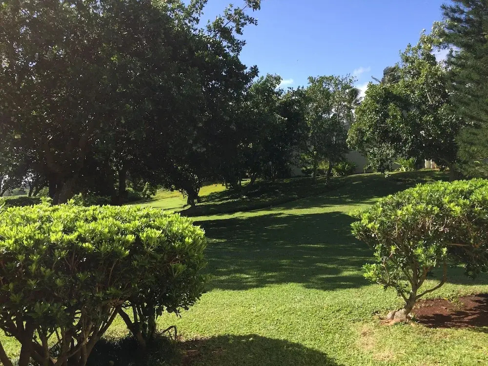 Primrose Turtle Bay - 1 Br Condo