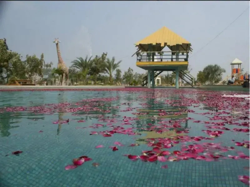 Nalsafari Resort