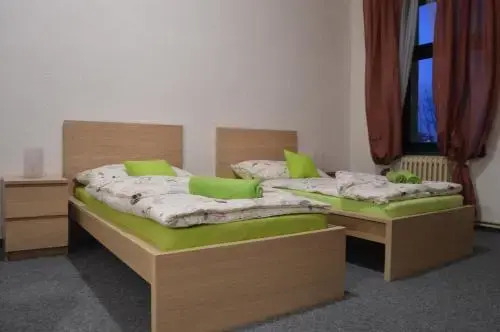 Hotel Cesky Dum