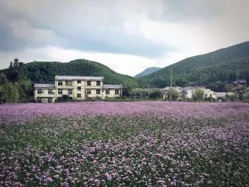 Seeking Calm Inn