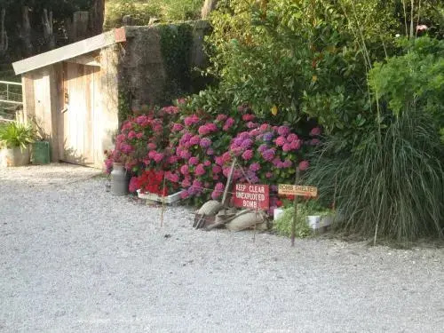Les Perroquets