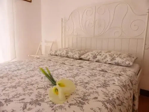 MY HOUSE to Cinque terre