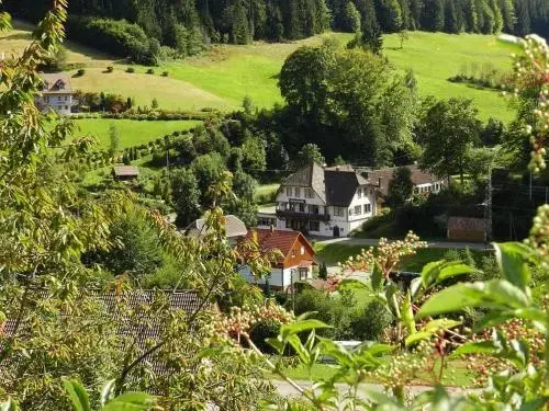 Hostal Black Forest
