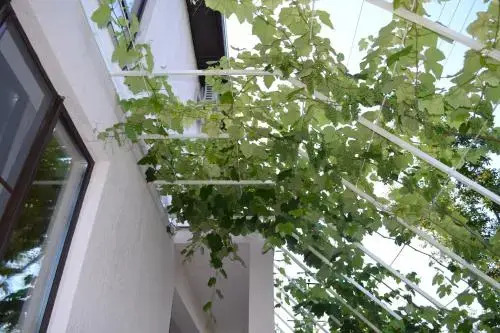 Country House Albatros