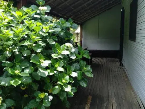 Piccolo Paradiso