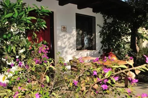 Alba Bed & Breakfast