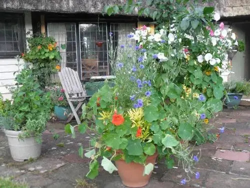 Church Hall Farm