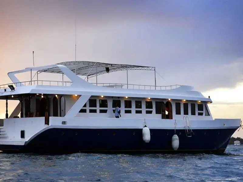 TLM Cruiser