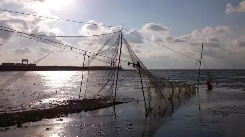 Sea La Vie