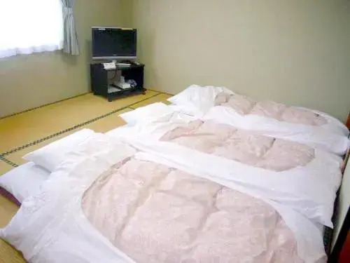Business Hotel Kanekura