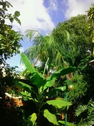 Posada María Iguazú