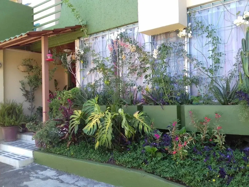Vida Tropical Bed and Breakfast