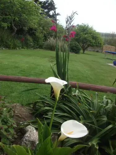 Gratton Lodge Guest House