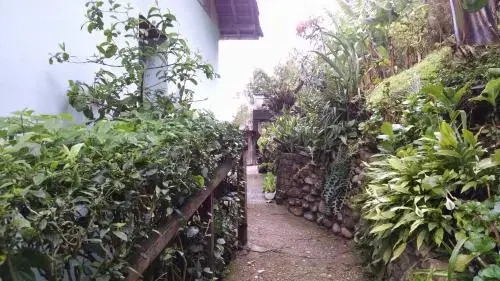 Pousada Bar-Budo