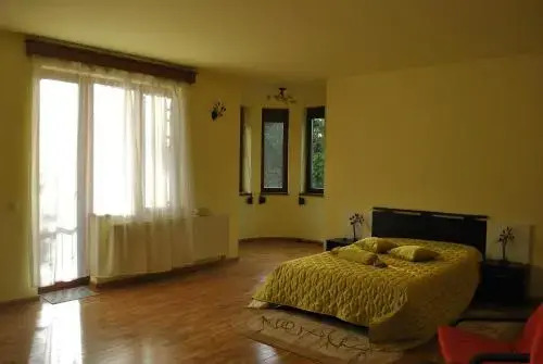 Castelul de Piatra