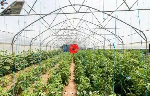 Farm stay Orlov put
