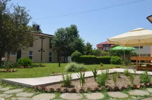 Complex Minerva