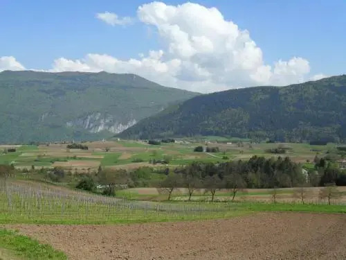 Albergo Sayonara
