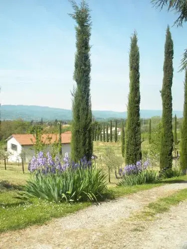 Azienda Agricola il Chiuso