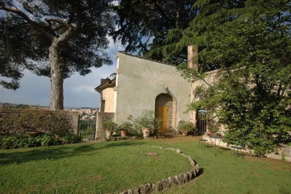 Le Camelie
