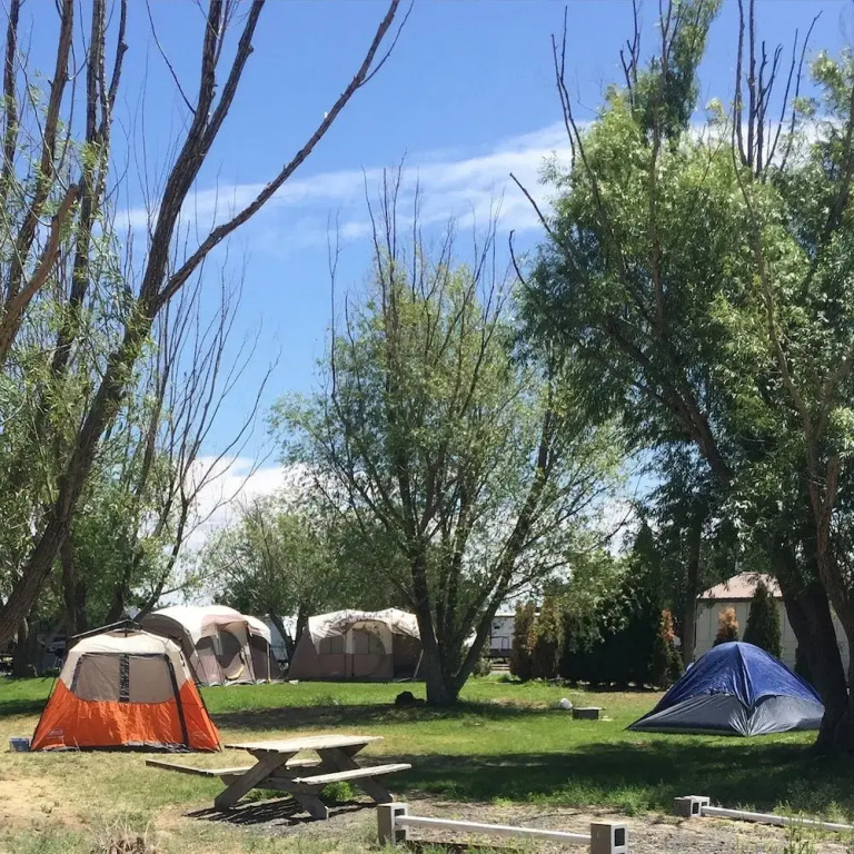 Sunny Springs Resort & Campground