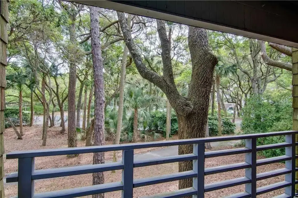 Windswept Woodlands 4467 by RedAwning