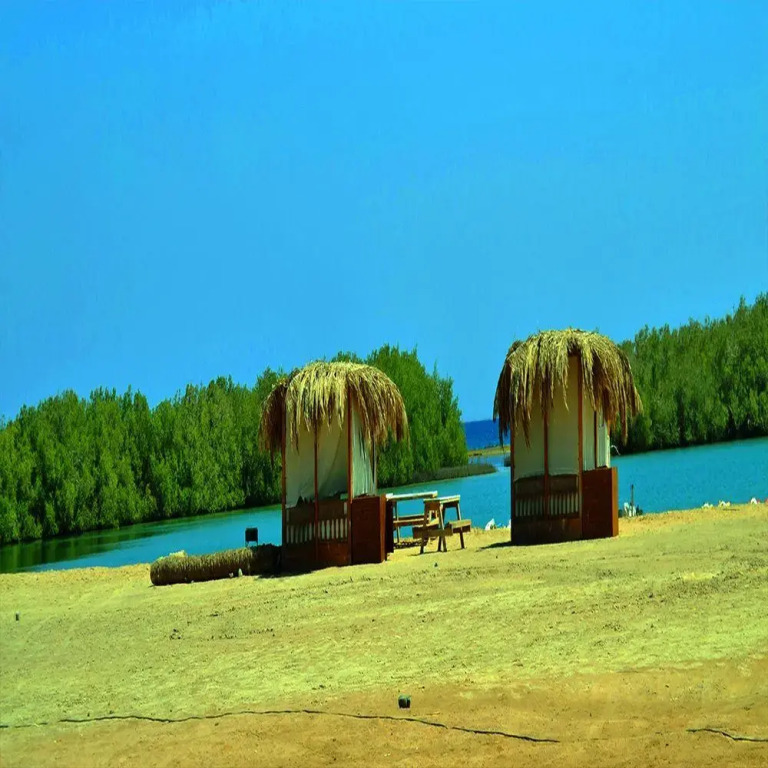 Nabq Camp