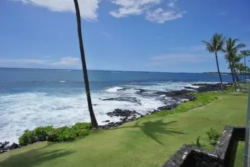 Kona Reef A15
