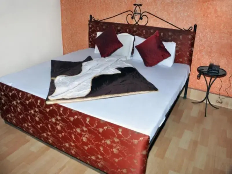 Pink Elephant Haveli - Hostel