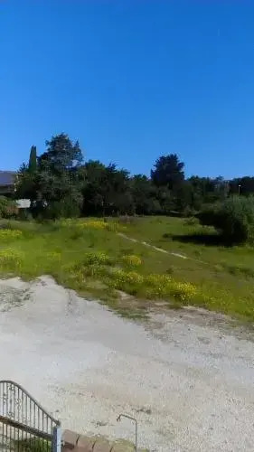 Casa Pupa