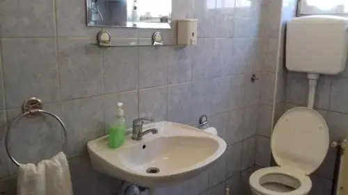 Prenociste