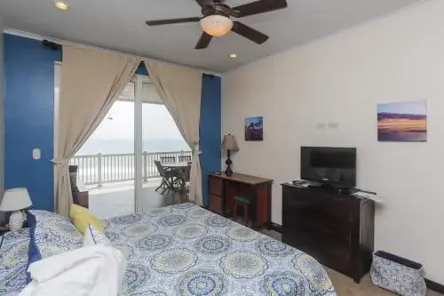 The Palms 703