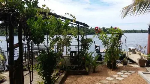 House of water Lily