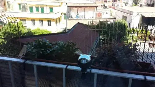 Casa Vacanze Al Corso