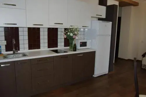 Furnished Apartments on Sovetskaya